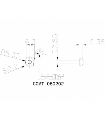 CCMT 060202 IC20N