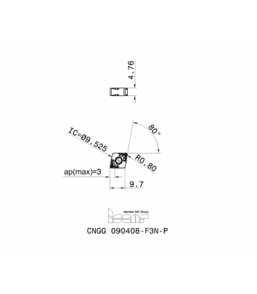 CNGG 090408-F3N-P IC20