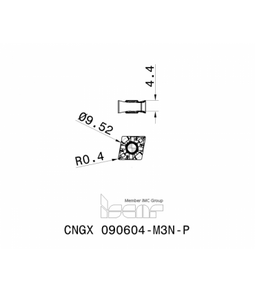 CNGX 090604-M3N-P IC20