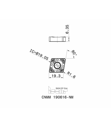 CNMM 190616-NM IC8350
