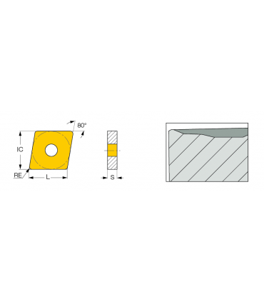 CNMM 190624-H3P IC8150