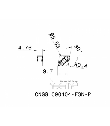 CNGG 090404-F3N-P IC20