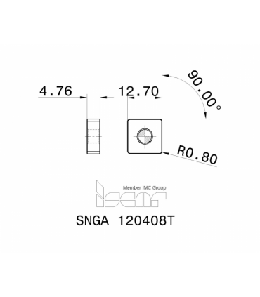 SNGA 120408T IN22