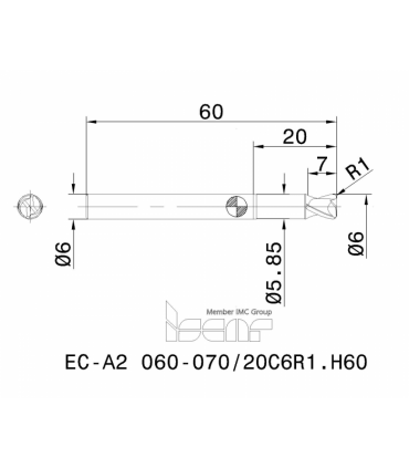 EC-A2 060-070/20C6R1.H60 IC702