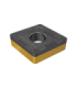 CNMM 190616-NR IC907