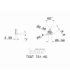 TCGT 090204-AS IC20