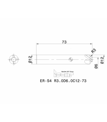 ER-S4 R3.0D6.0C12-73 IC900