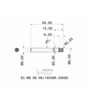 EC-B6 06-06/14C06R.25H50 IC702