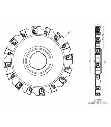 SDN D250-1925-60-CAPM15