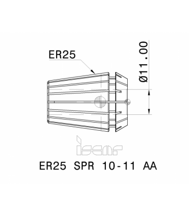 ER25 SPR 10-11 AA
