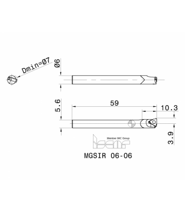MGSIR 06-06