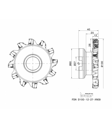 FDN D100-12-27-XN09