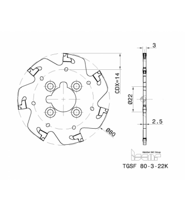 TGSF 80-3-22K