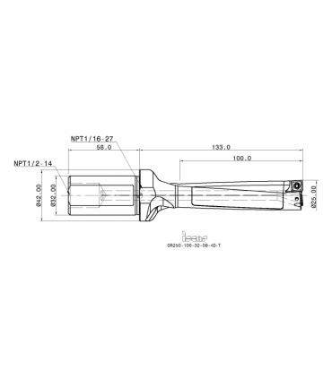 DR250-100-32-09-4D-T