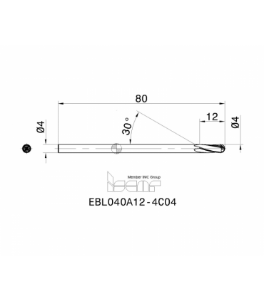 EBL040A12-4C04 IC900