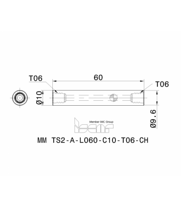 MM TS2-A-L060-C10-T06-CH