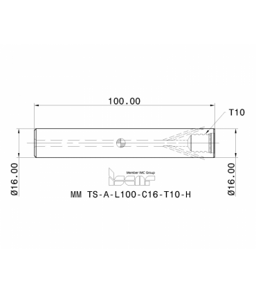 MM TS-A-L100-C16-T10-H