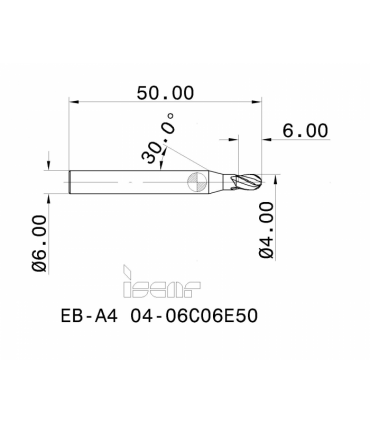 EB-A4 04-06C06E50 IC900