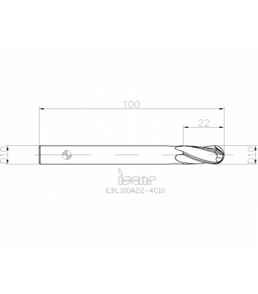 EBL100A22-4C10 IC900