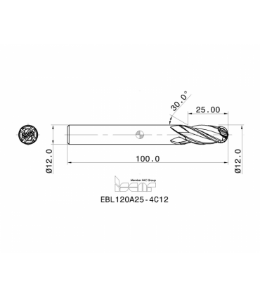 EBL120A25-4C12 IC900