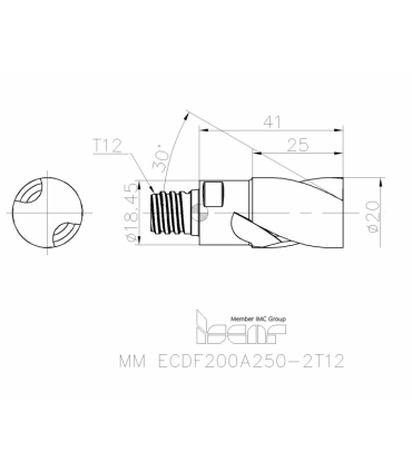 MM ECDF200A250-2T12 IC908