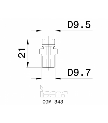 CGM 343