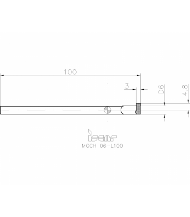 MGCH 06-L100