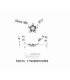 PENTA 17N080P040RS IC1008