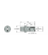 C6 AV-D16-JHP