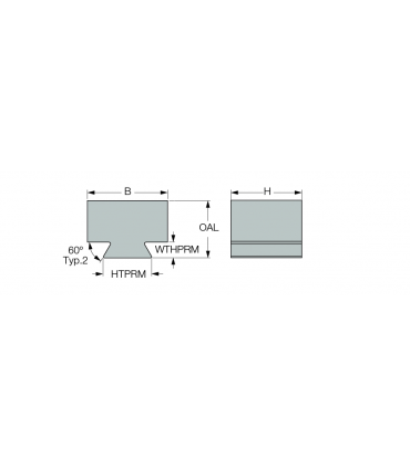 DT20 BLANK