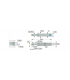 MG 12-08C16