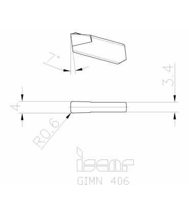 GIMN 406 IC907