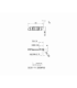 SCIR 41-300NP08 IC1008