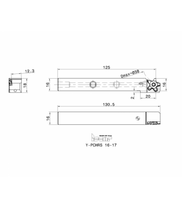 Y-PCHRS 16-17