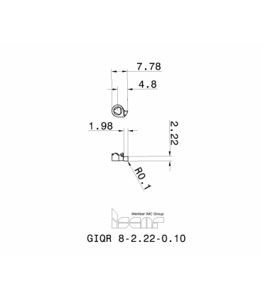 GIQR 8-2.22-0.10 IC528