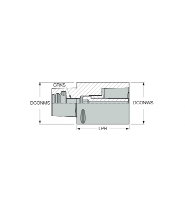 C8 EX C8X125