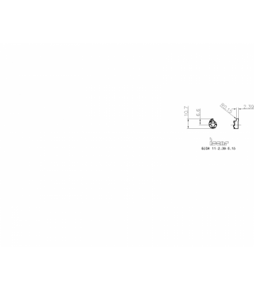 GIQR 11-2.39-0.15 IC528