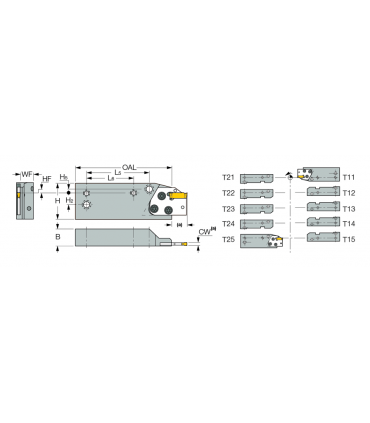 DGHAL DECO 13