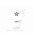 PENTA 17N025P000RS IC1008
