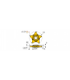 PENTA 24N300PF150 IC30N