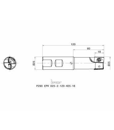 P290 EPW D25-2-120-W25-18
