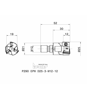 P290 EPW D25-3-M12-12