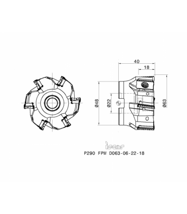 P290 FPW D063-06-22-18