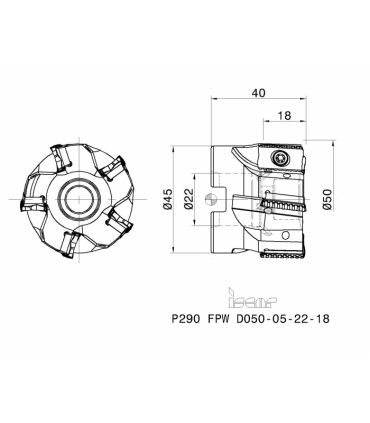 P290 FPW D050-05-22-18