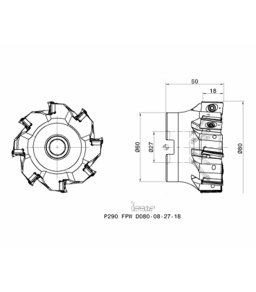 P290 FPW D080-08-27-18