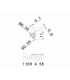 11ER A 55          IC250