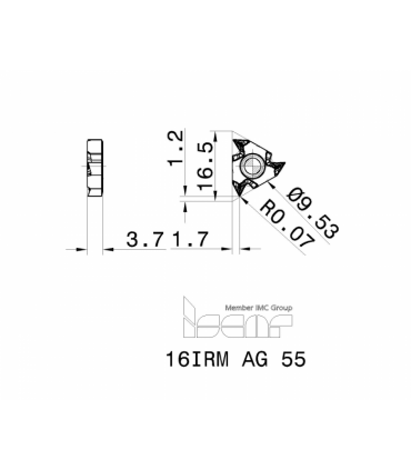 16IRM AG 55        IC250