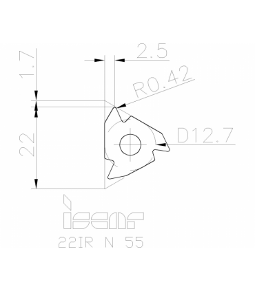 22IR N 55          IC250