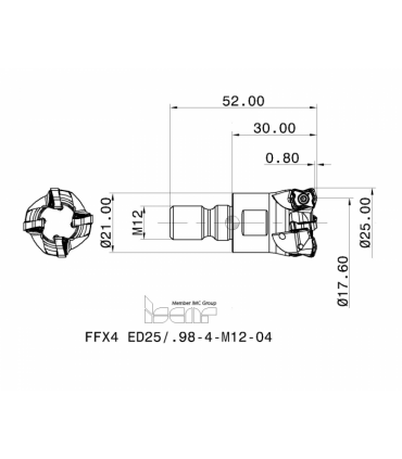FFX4 ED25/.98-4-M12-04