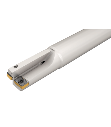 MDR D25-2-C25-AN12